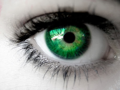 Ilustração de “Verde-amor”