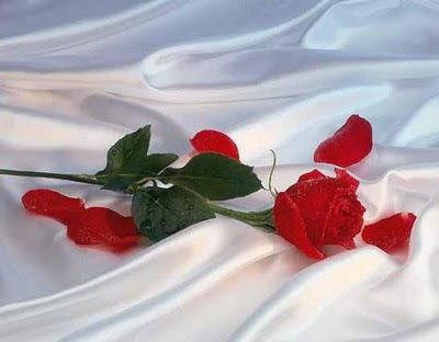 Ilustração de “Flores a tona]][[”