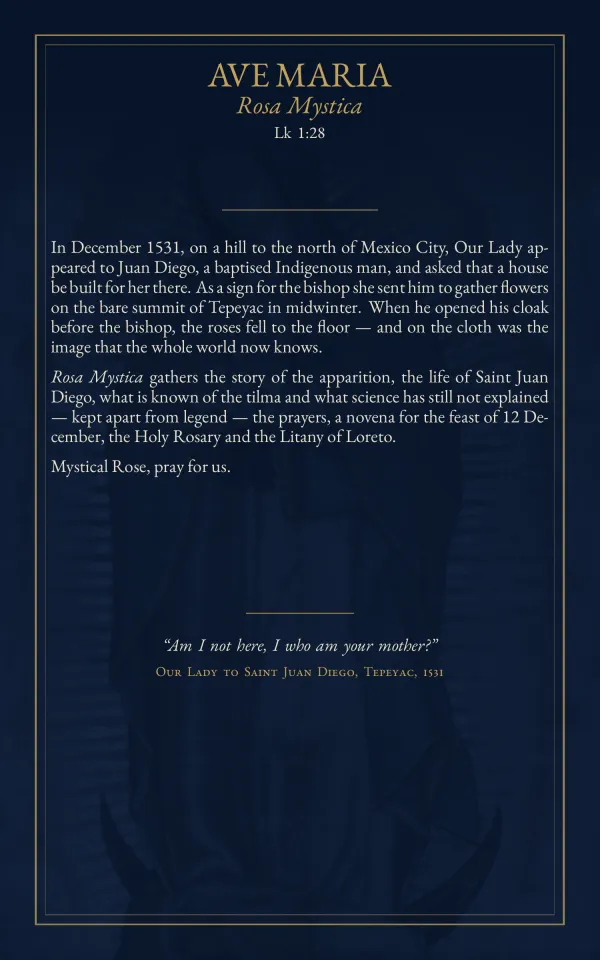 Back cover: “Ave Maria, Rosa Mystica, Lk 1:28”, with the booklet’s presentation and Our Lady’s words to Saint Juan Diego