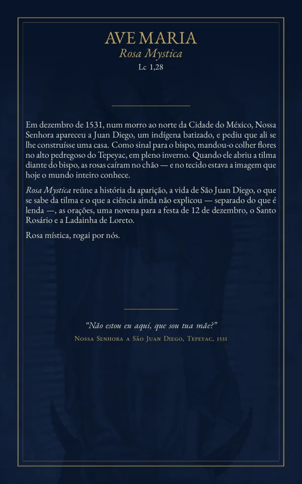 Contracapa: “Ave Maria, Rosa Mystica, Lc 1,28”, com a apresentação do livreto e as palavras de Nossa Senhora a São Juan Diego